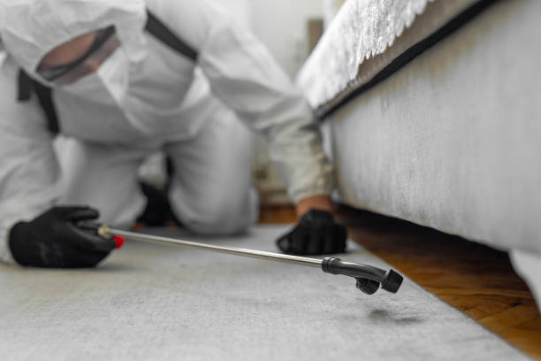 Professional Bed Bug Control technician working in Congers, NY